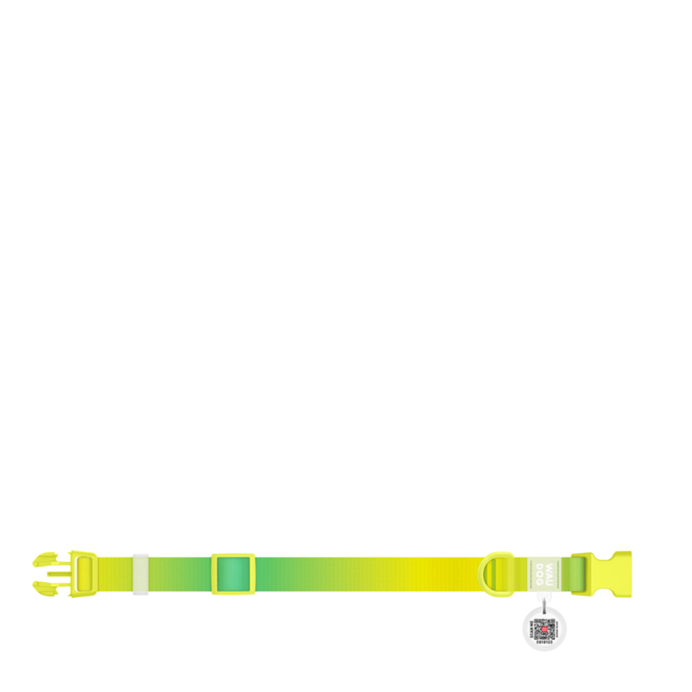 Collar XS Gradient Light Green PL