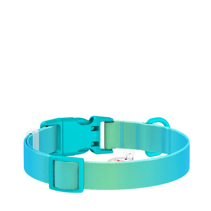 Collar S Gradient Blue PL