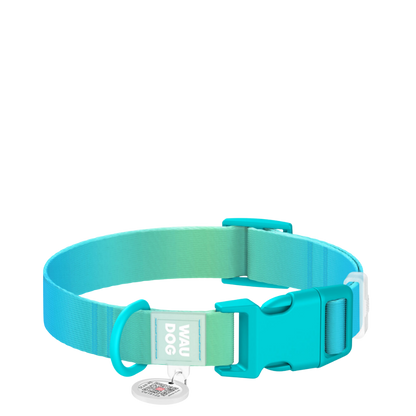Collar S Gradient Blue PL
