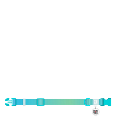 Collar S Gradient Blue PL