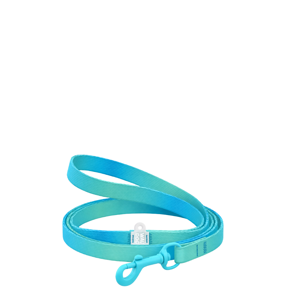 Leash XS Gradient Blue