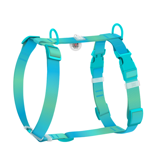 H-Harness M Gradient Blue PL