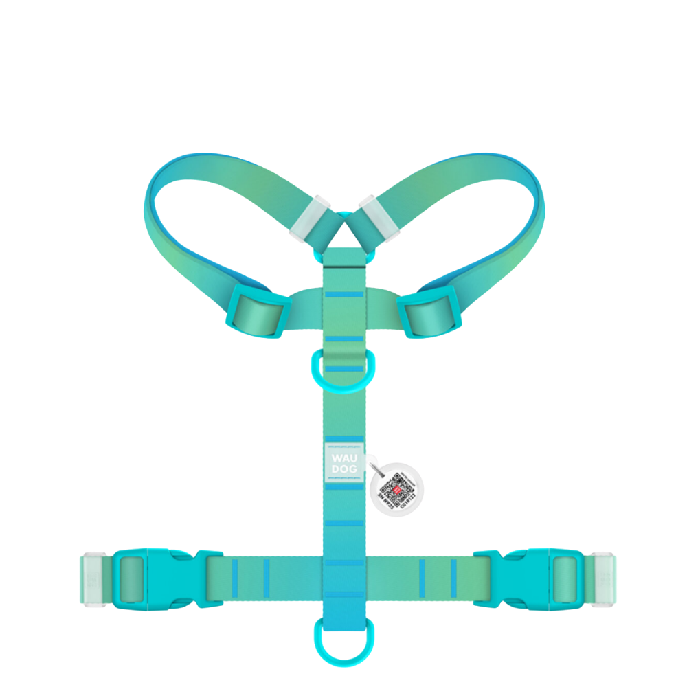 H-Harness XL Gradient Blue PL