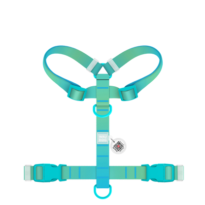 H-Harness M Gradient Blue PL