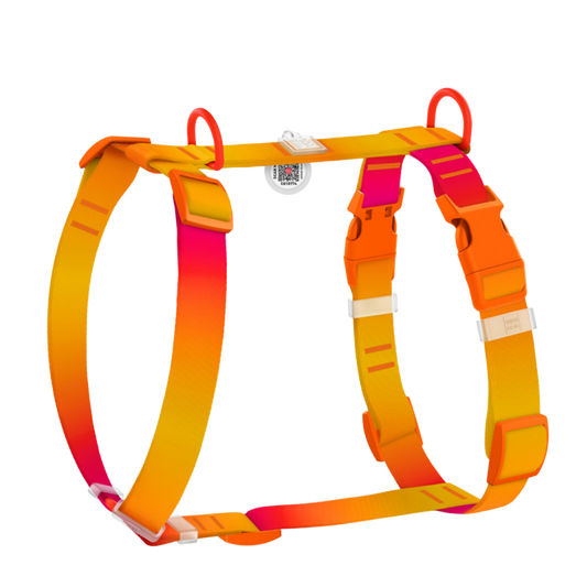 H-Harness S Gradient Orange PL