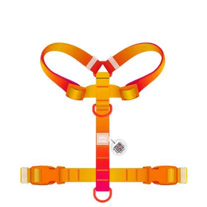 H-Harness S Gradient Orange PL