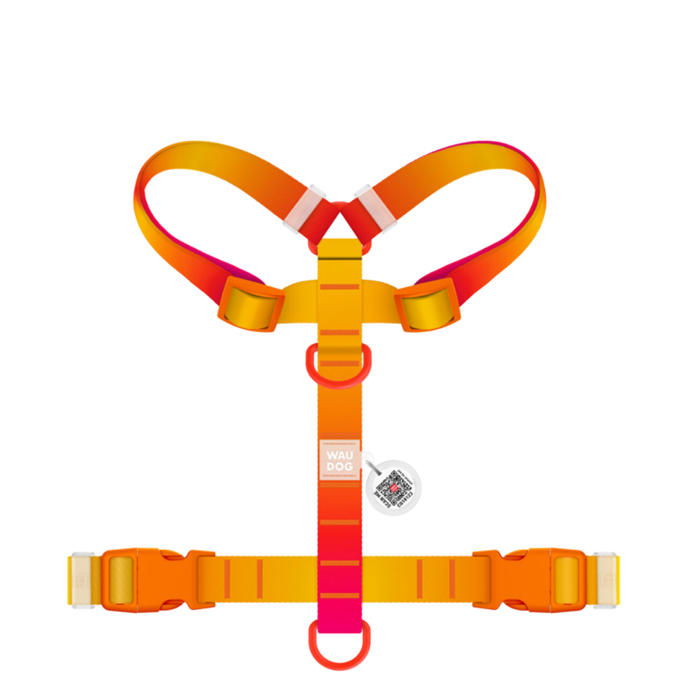 H-Harness M Gradient Orange PL