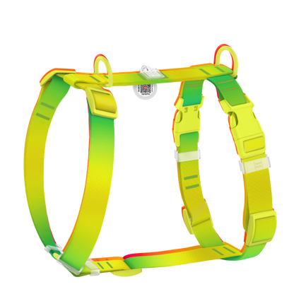 H-Harness XS Gradient Light Green PL