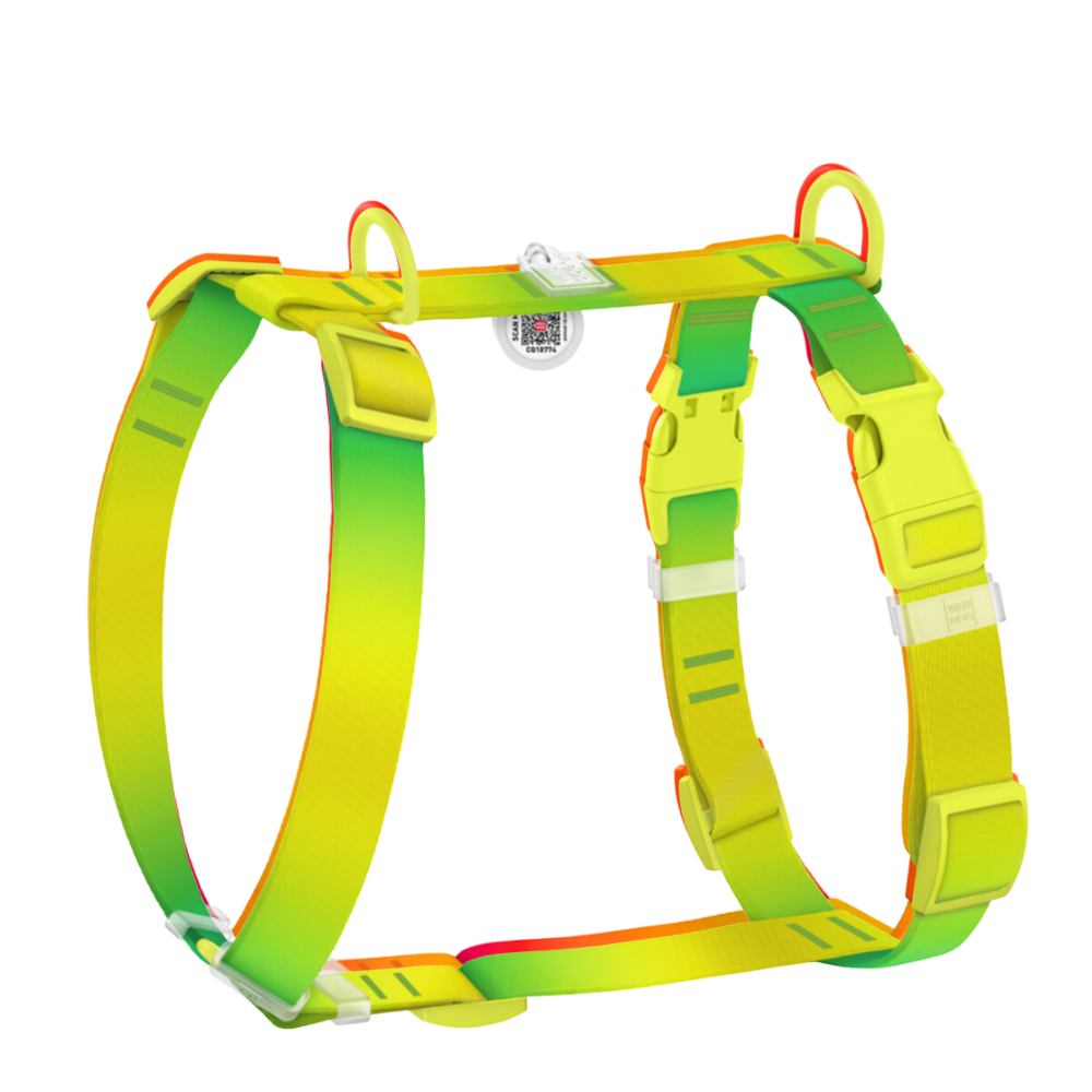 H-Harness S Gradient Light Green PL
