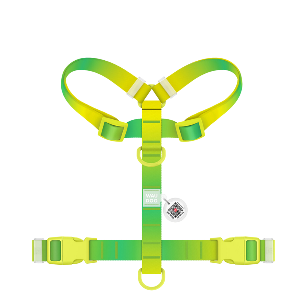 H-Harness XS Gradient Light Green PL