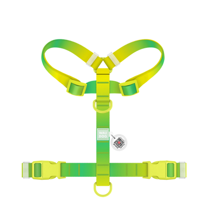 H-Harness XS Gradient Light Green PL