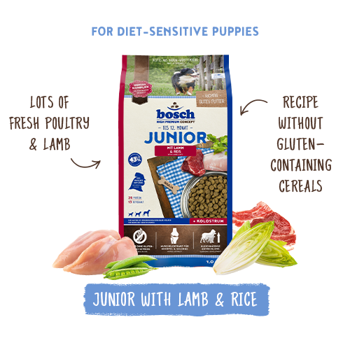 Junior Lamb & Rice 1kg
