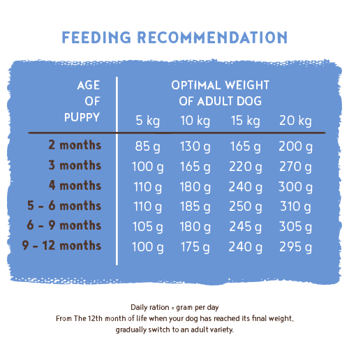 Junior Lamb & Rice 15kg