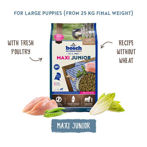 Maxi Junior 15kg