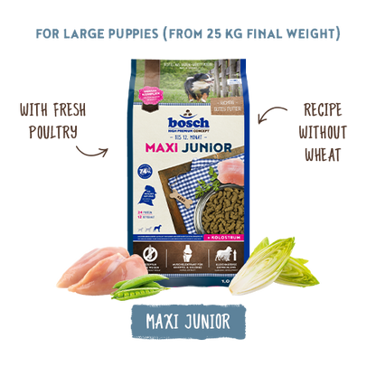 Maxi Junior 15kg