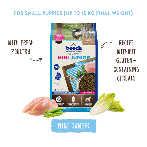 Mini Junior 1kg