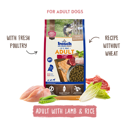 Adult Lamb & Rice 1kg