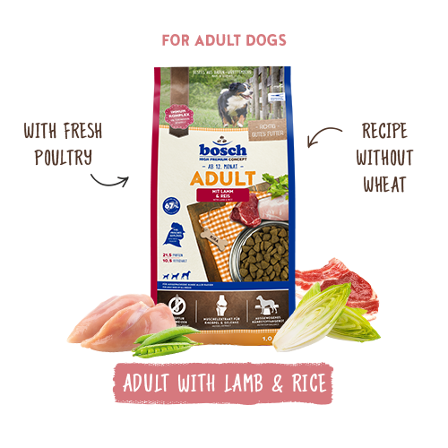 Adult Lamb & Rice 3kg