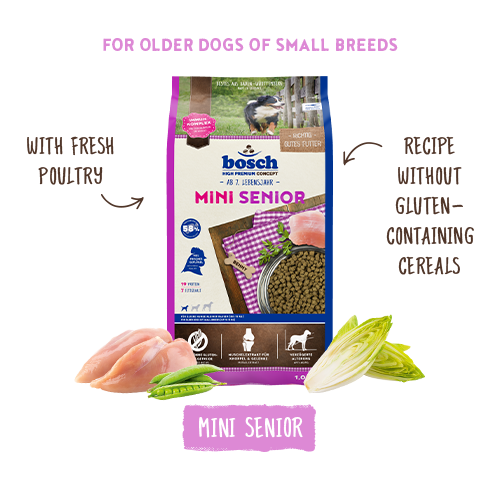 Mini Senior 2.5kg