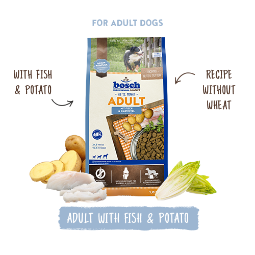 Adult Fish & Potato 1kg