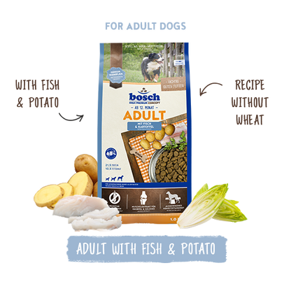 Adult Fish & Potato 1kg