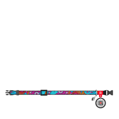 Cat Collar Summer