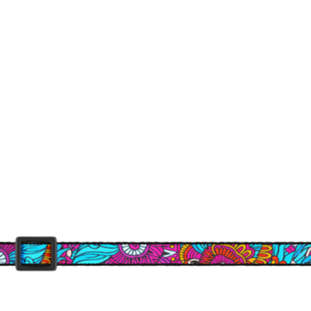 Cat Collar Summer