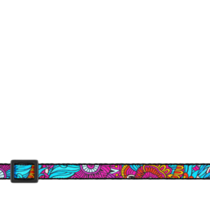 Cat Collar Summer