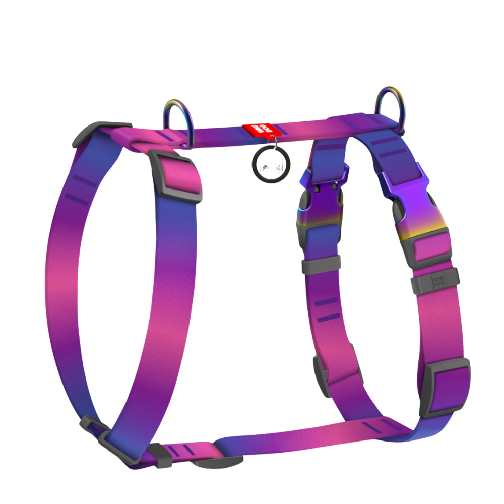 H-Harness L Gradient Purple