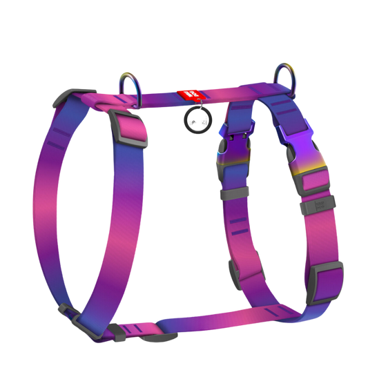 H-Harness L Gradient Purple