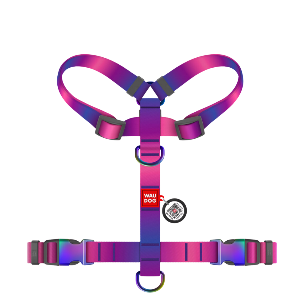 H-Harness L Gradient Purple