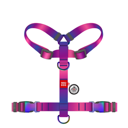 H-Harness L Gradient Purple