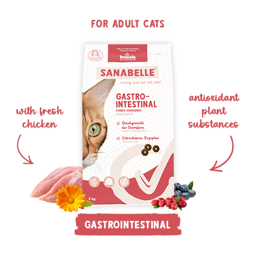 Sanabelle Gastrointestinal 2kg