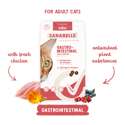 Sanabelle Gastrointestinal 2kg