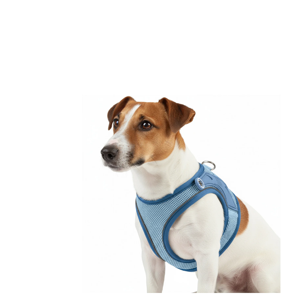 Air Vest - Matrix 2.0 Ocean - L