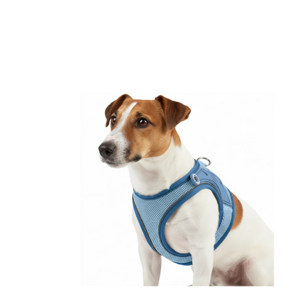 Air Vest - Matrix 2.0 Ocean - L