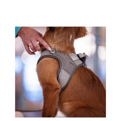 Air Vest - Matrix 2.0 Sand - L