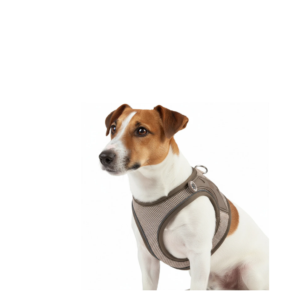Air Vest - Matrix 2.0 Sand - L
