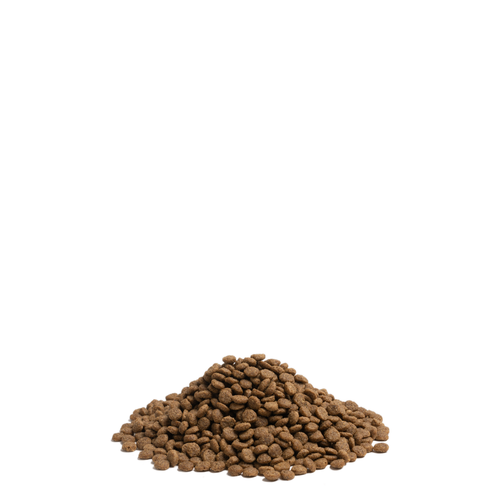 Balance 2,5kg