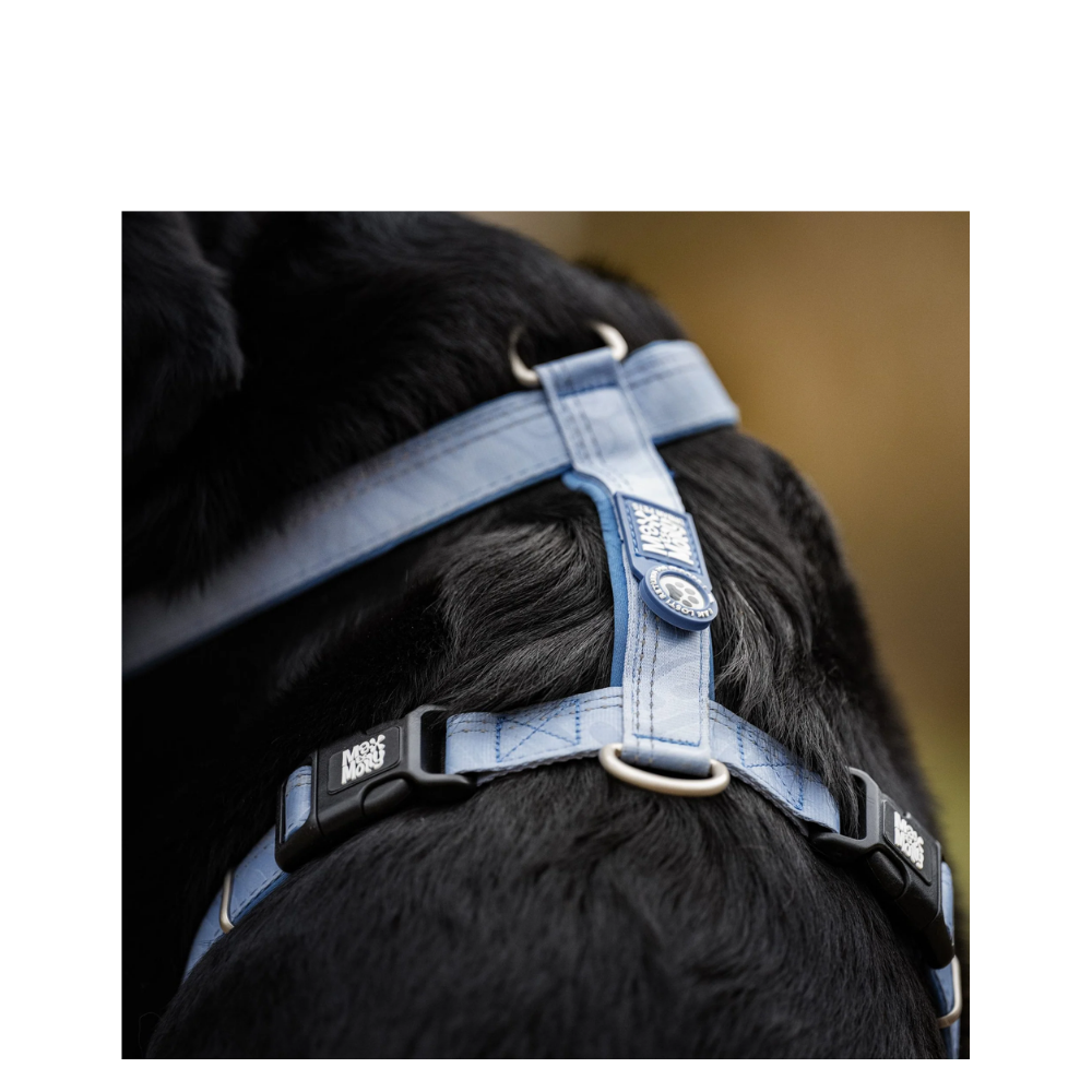 Comfort-H-Harness - Matrix 2.0 Ocean - XS