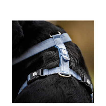 Comfort-H-Harness - Matrix 2.0 Ocean - S