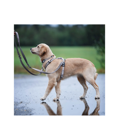 Comfort-H-Harness - Matrix 2.0 Sand - S