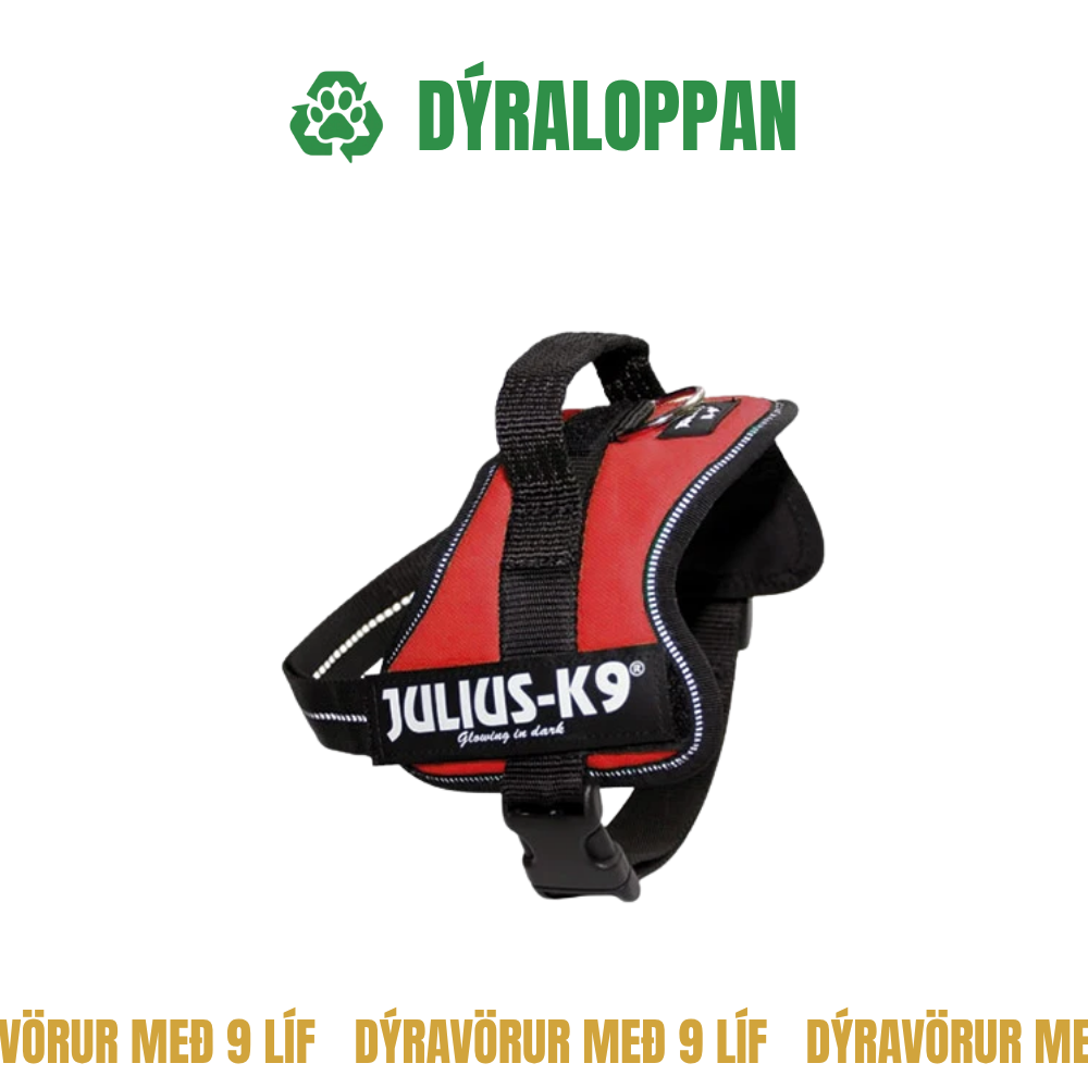 Julius K9 Harness XS/Baby 2 - Notað