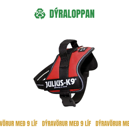 Julius K9 Harness XS/Baby 2 - Notað