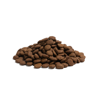 Beginning Large Breed 1kg