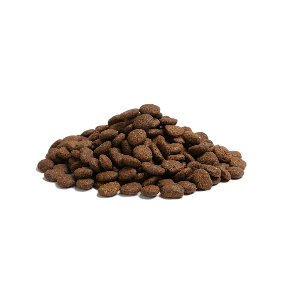 Beginning Large Breed 2.5kg