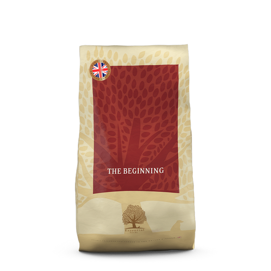 Beginning Small Breed 10kg