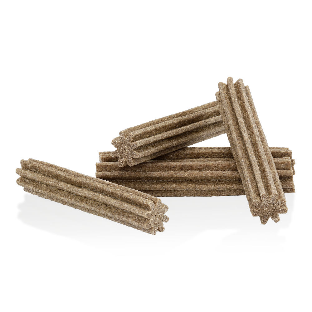 Probiotics & Cinnamon Teeth Delights stangir 250g