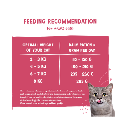 Freshe Mieze - Beef & Chicken 100g