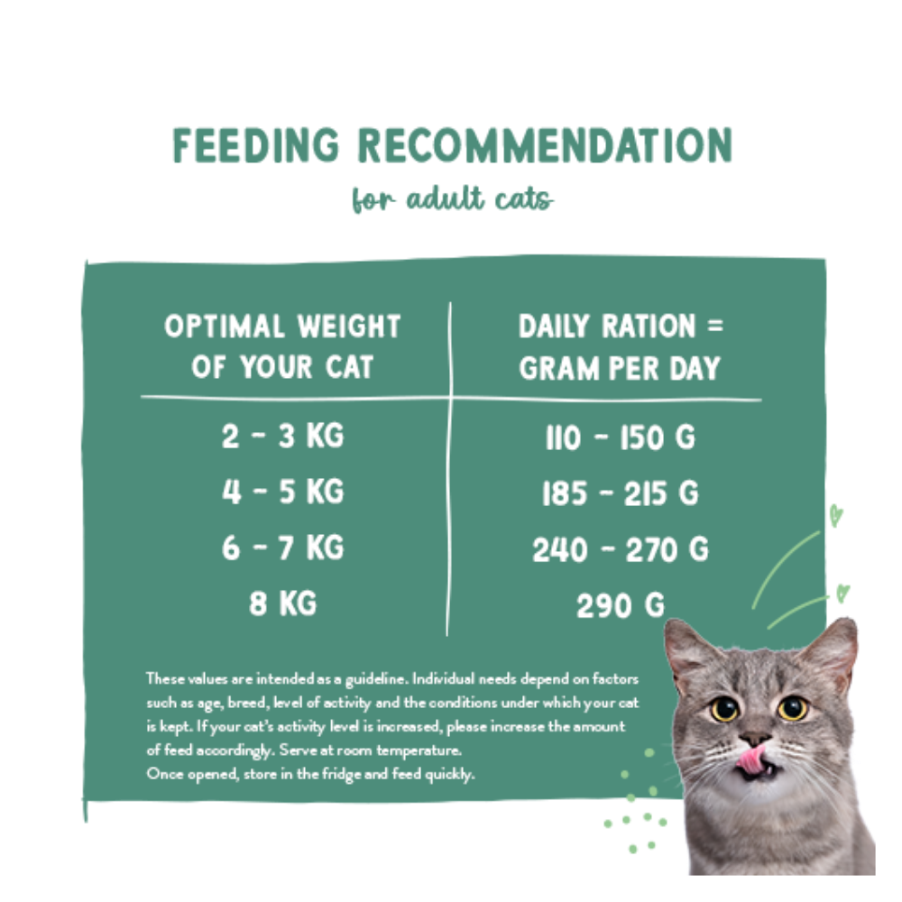 Freshe Mieze - Trout, Turkey & Chicken 100g.
